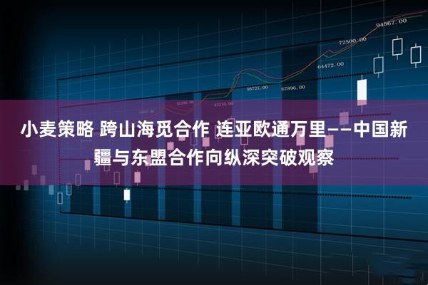 小麦策略 跨山海觅合作 连亚欧通万里——中国新疆与东盟合作向纵深突破观察