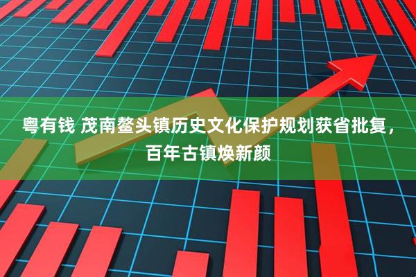 粤有钱 茂南鳌头镇历史文化保护规划获省批复，百年古镇焕新颜