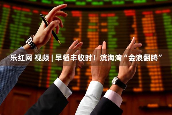 乐红网 视频 | 早稻丰收时！滨海湾“金浪翻腾”