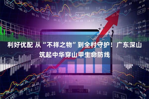 利好优配 从“不祥之物”到全村守护！广东深山筑起中华穿山甲生命防线