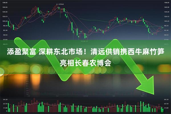 添盈聚富 深耕东北市场！清远供销携西牛麻竹笋亮相长春农博会