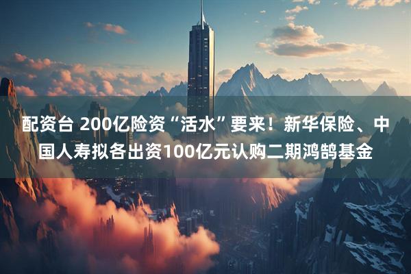 配资台 200亿险资“活水”要来！新华保险、中国人寿拟各出资100亿元认购二期鸿鹄基金